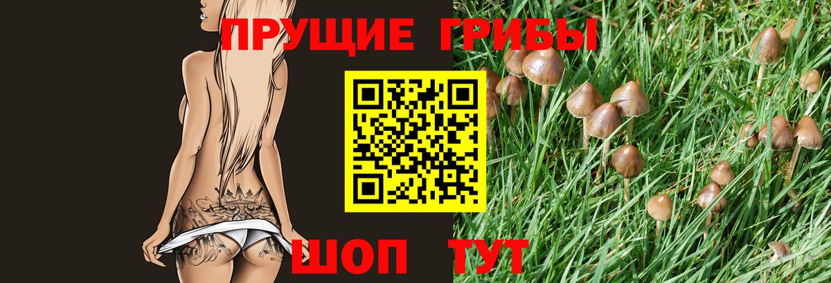 Псилоцибиновые грибы MAGIC MUSHROOMS  Галлюциногенные грибы Magic Shrooms  Вход с VPN  Северск 